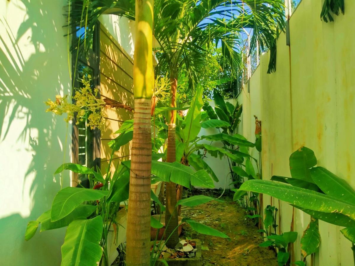 Almond Villa Hoi An - Nguyên Căn 6 Phòng Ngủ - BBQ - Hồ Bơi Riêng Ngoại thất bức ảnh